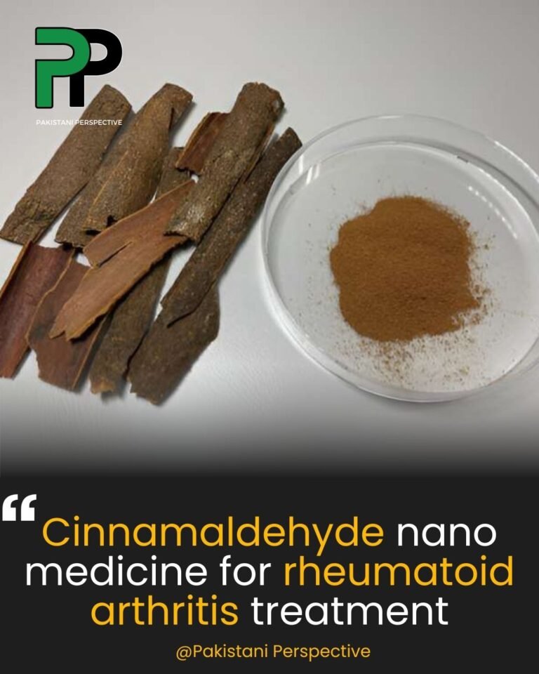 Cinnamaldehyde nano medicine for rheumatoid arthritis